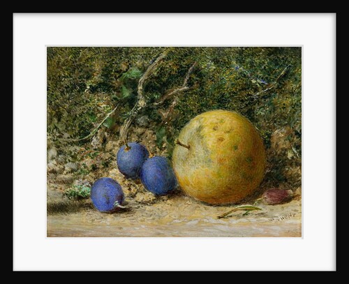 Three Grapes and an Apple by William Henry Hunt