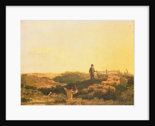 Penning the Flock by James Stark