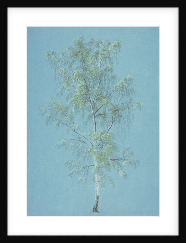 Birch tree by William Turner