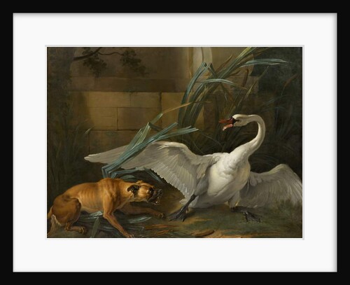 Swan Attacked by a Dog, 1745 by Jean-Baptiste Oudry