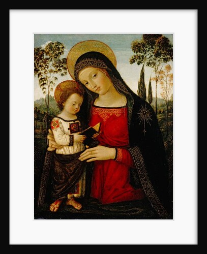Madonna and Child, c.1490-1495 by Bernardino di Betto Pinturicchio