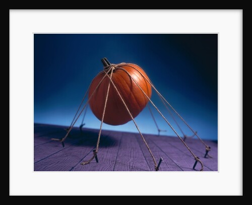 Tethered Pumpkin, 1996 by Norman Hollands