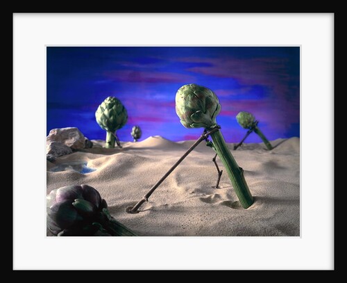 Art-ichoke 1996 by Norman Hollands