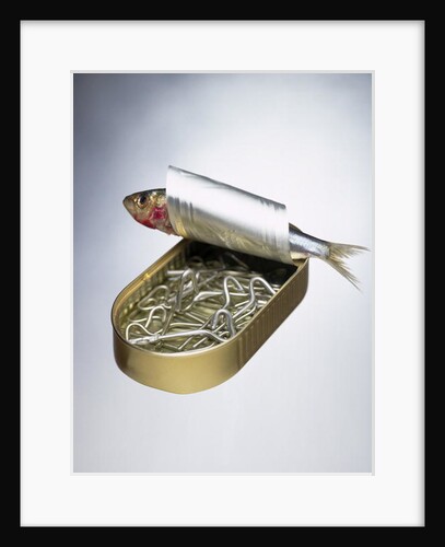 Sardine Can Inversion, 1997 by Norman Hollands