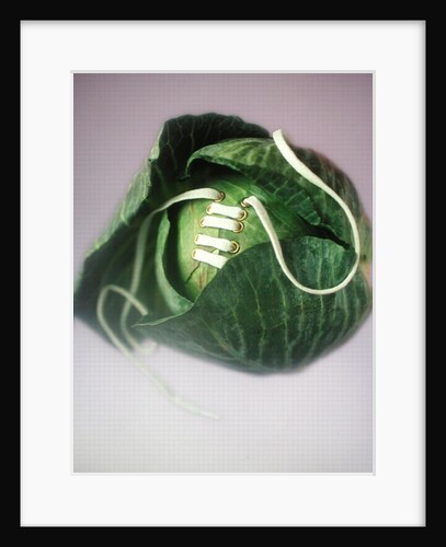 Cabbage with laces, 2000 by Norman Hollands