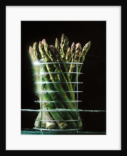 Asparagus in steamer, 1994 by Norman Hollands