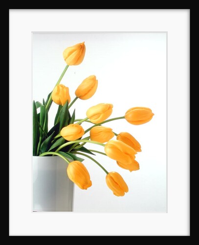 Yellow Tulips II, 1999 by Norman Hollands