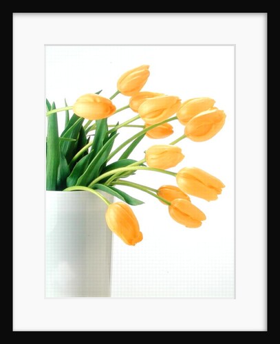 Yellow tulips I, 1999 by Norman Hollands