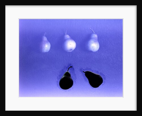 Blue Pears 2005 by Norman Hollands