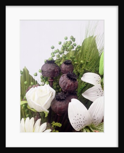 Seed pod Bouquet, 1999 by Norman Hollands