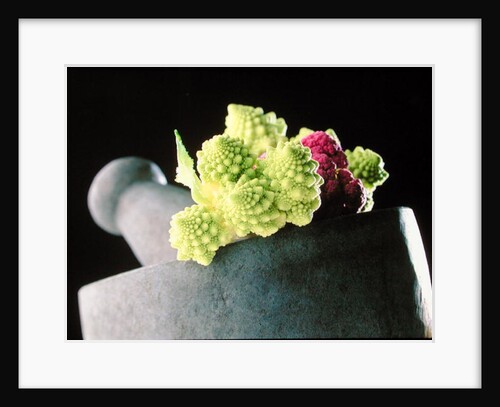 Romanescu in granite pestle & mortar, 2001 by Anonymous