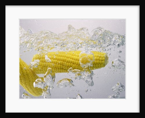 Boiling sweetcorn, 2003 by Norman Hollands