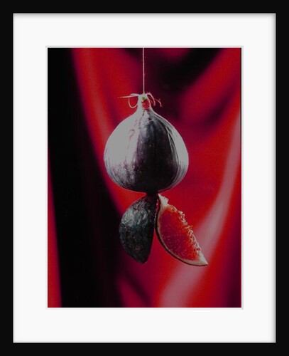Fig on a string with segments, 2003 by Norman Hollands