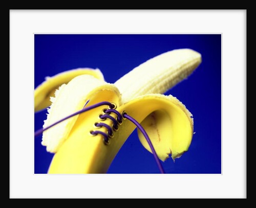 Banana in a basque, 2000 by Anonymous
