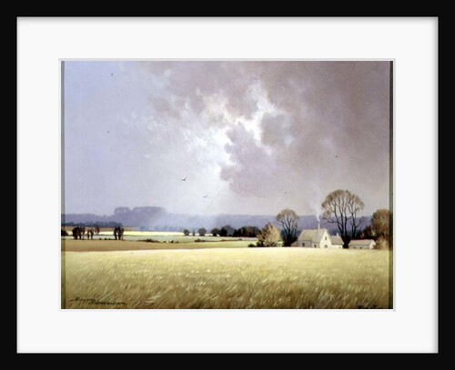 Autumn Sunlight, 1982 by Ninetta Butterworth