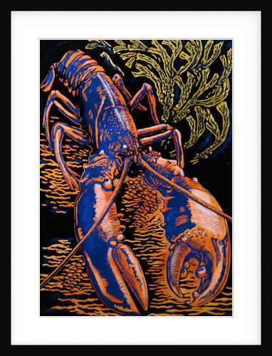 Lobster, 1998 by Nat Morley