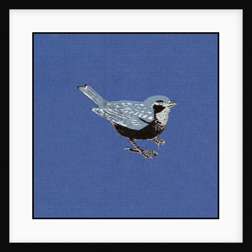 Sparrow, 2013 by Nat Morley