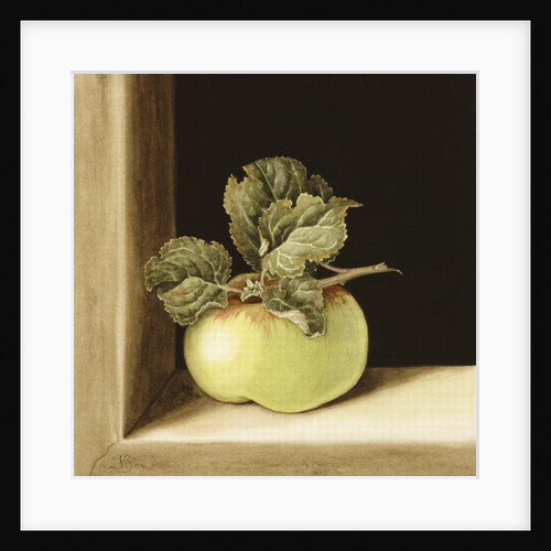 Apple by Jenny Barron