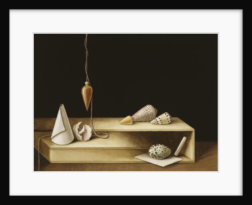 Optical Illusion, 2005 by Jenny Barron
