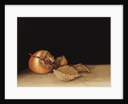 Persimmon, 2004 by Jenny Barron