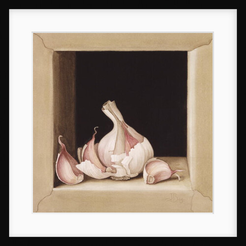 Garlic, 2005 by Jenny Barron