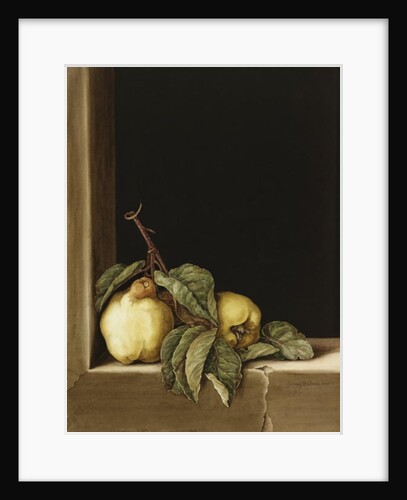 Quinces, 2005 by Jenny Barron