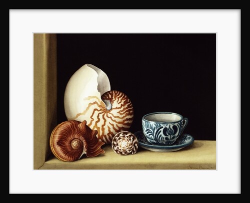 Still life with Nautilus, 1998 by Jenny Barron