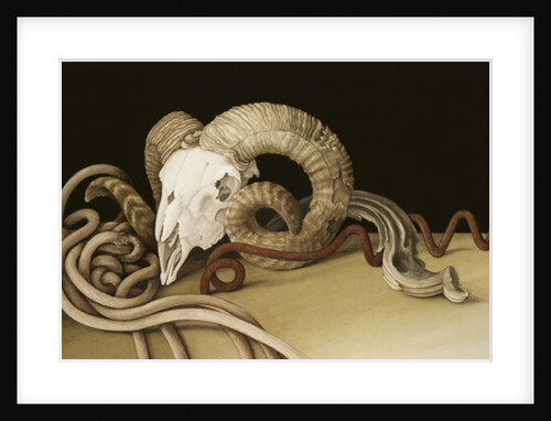 Vanitas, 2004 by Jenny Barron