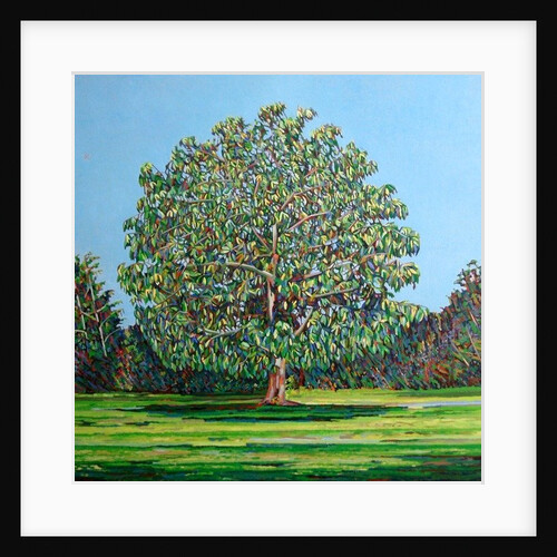 Bow Tree Summer, by Noel Paine