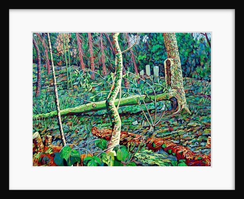 Bow Trench 2 by Noel Paine