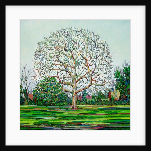 Bow Tree Winter, by Noel Paine