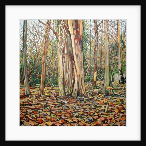 Winter Trunk, 2010 by Noel Paine