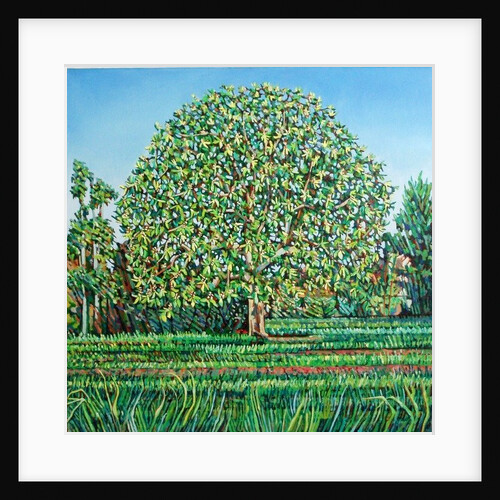 Bow Tree Spring by Noel Paine