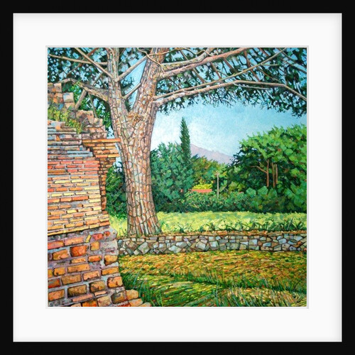 Appia Antica, View, 2008 by Noel Paine