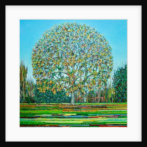 Bow Tree Autumn, by Noel Paine