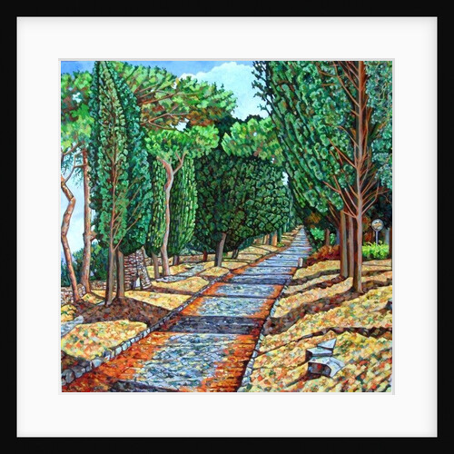 The Appia Antica by Noel Paine