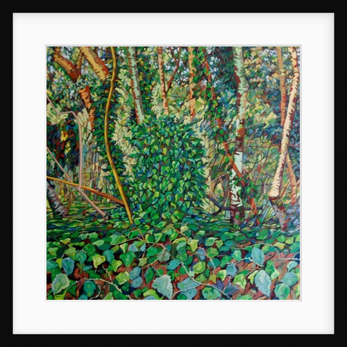 The Wrens Tomb, by Noel Paine