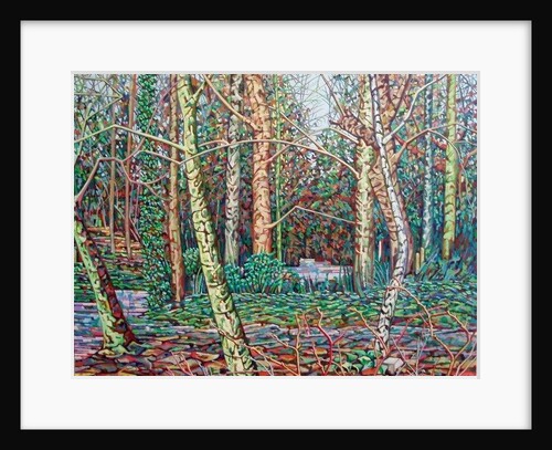 The January Path, by Noel Paine