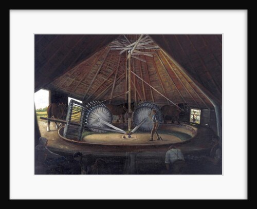 Woad Mill at Parson Drove, c.1900 by Alfred Balding