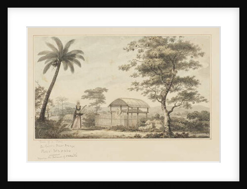 45: View of a Tomb by John Webber
