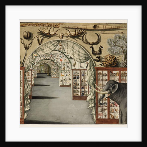 Perspective view of Sir Ashton Lever's Museum March 30, 1785 by Sarah Stone