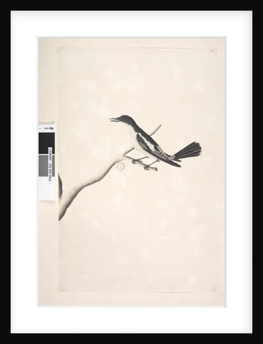 Page 22. November by Unknown artist