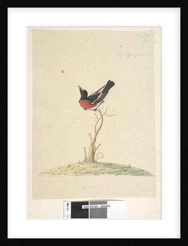 Page 25. Car,ral,gar,yei,sar by Unknown artist