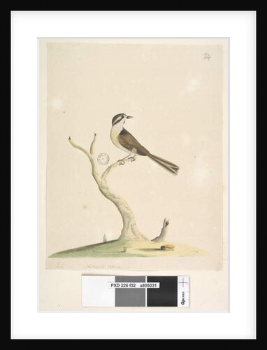 Page 32. Unidentified July by Unknown artist