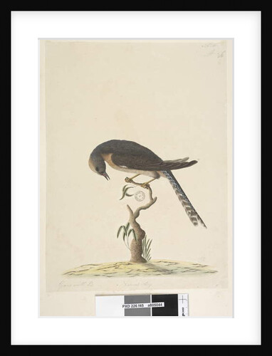 Page 45. Natural size by Unknown artist