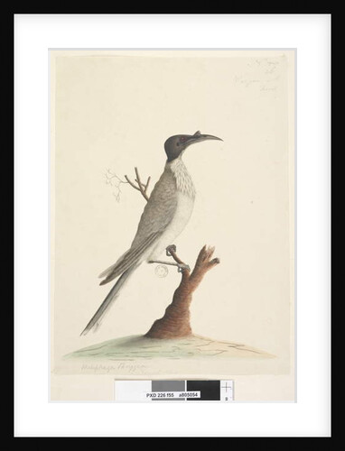 Page 55. Wer,gan or the Friar by Unknown artist