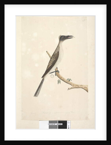 Page 57. January by Unknown artist