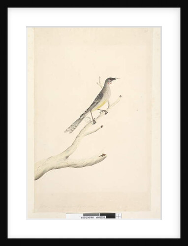 Page 60. June by Unknown artist