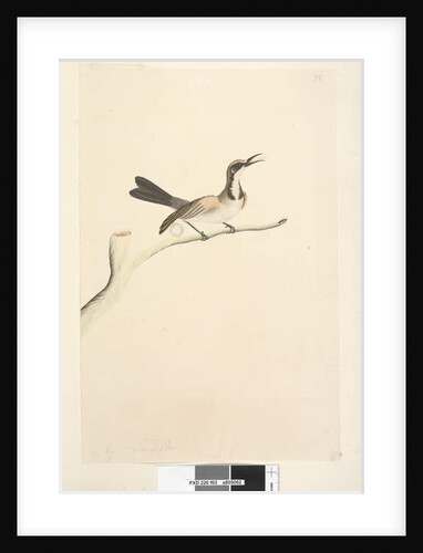 Page 63. May by Unknown artist
