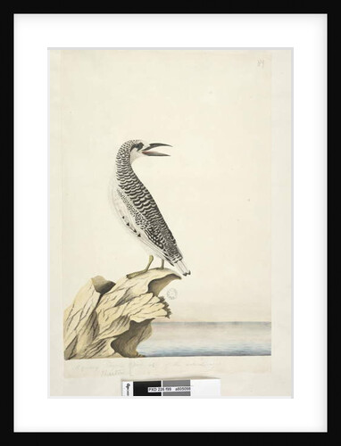 Page 99. Phaeton by Unknown artist